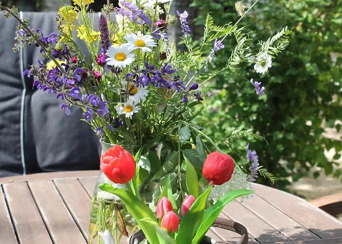 Marika Nyaralo * Vászoly